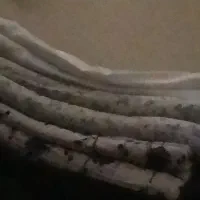 تشک تمیز