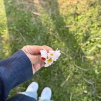 آموزش رقص مخصوص بانوان وعروس دومادوپلنر عروس