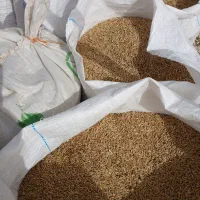 جو تمیز|خوردنی و آشامیدنی|ارم, |دیوار