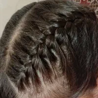 شنیون و بافت اقتصادی