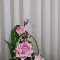 گل خواستگاری وباکس گل نوازدی