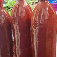رب خونگی تازه