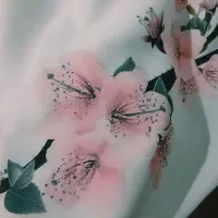 شومیز ها نو سایزه 40 تا 44