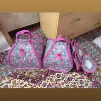 دستگیره ودمکنی