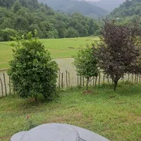 خانه ویلایی