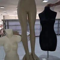 مانکن و رگال در حد نو کم استفاده شده