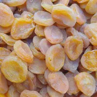 قیسی اعلا گوشتی