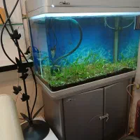 آکواریوم شیشه خم