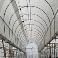 پلاستیک کشی گلخانه