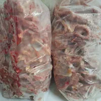 اسکلت مرغ قیمت عمده