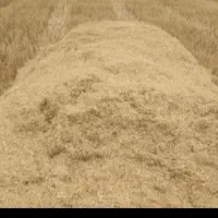 فروش  کاه