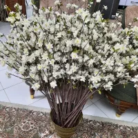 شکوفه خارجی