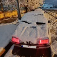 پژو ۴۰۵ مدل ۸۳|خودرو سواری و وانت|چناران, |دیوار