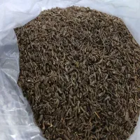 زیره کوهی تمیز