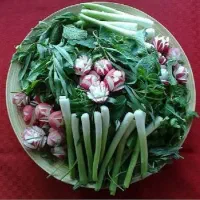 خرد کردن و پاک کردن انواع سبزی خورشتی ، آشی