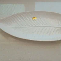 ظرف نو برگی