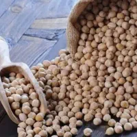 فروش حبوبات