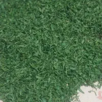 سبزی سرعین