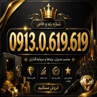 0913.0.619.619