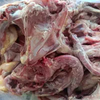 اسکلت مرغ پا مرغ گردن بال کله مرغ