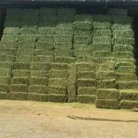 پرس یونجه درجه یک
