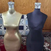 مانکن سوزن خور