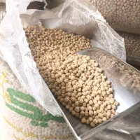 نخود  درشت ارگانیک  یه هفته است برداشت شده