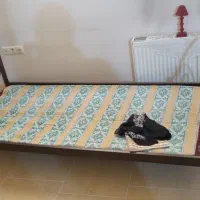 تخت فلزی یک نفر و سینک توکار