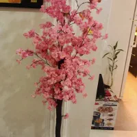 درخت شکوفه گل