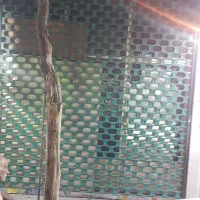 مغازه افسریه سرقفلی 15 متری اول