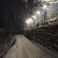 ویلای-کوهستانی-رونا