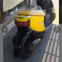 پاکشتی زرد