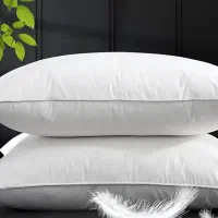 بالش طبی بیز اصل از نمایندگی