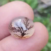 عقیق ابدار.نگین باباقوری...شجر اصلی طبیعی