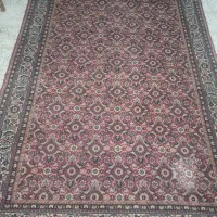فرش|فرش|بندر ماهشهر, |دیوار