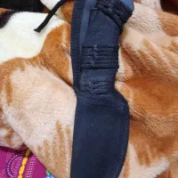 چاقو خوش دست آمریکایی