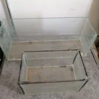 دوعدداکواریوم