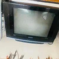 تلوزیون