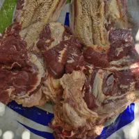 گوشت کله زبان گوساله برای سفارش تماس