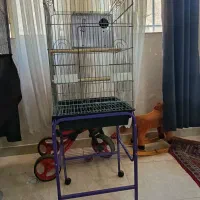 قفس طوطی عروس هلندی