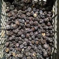 میوه سپستان( بنبر)