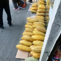 خربزه شیرین ۴۵۰۰۰