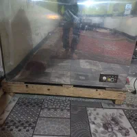 شاوردی