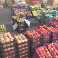 سفارشات تره بار