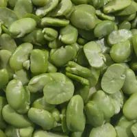 سفارشات انواع سبزیجات آماده