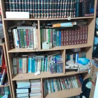یک عدد قفسه چوبی