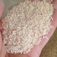 لاشه برنج هاشمی اصل