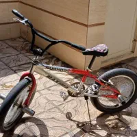 دوچرخه حرفه ای