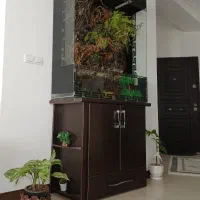 آکواریوم گیاه