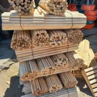 شاخسی دسته سی